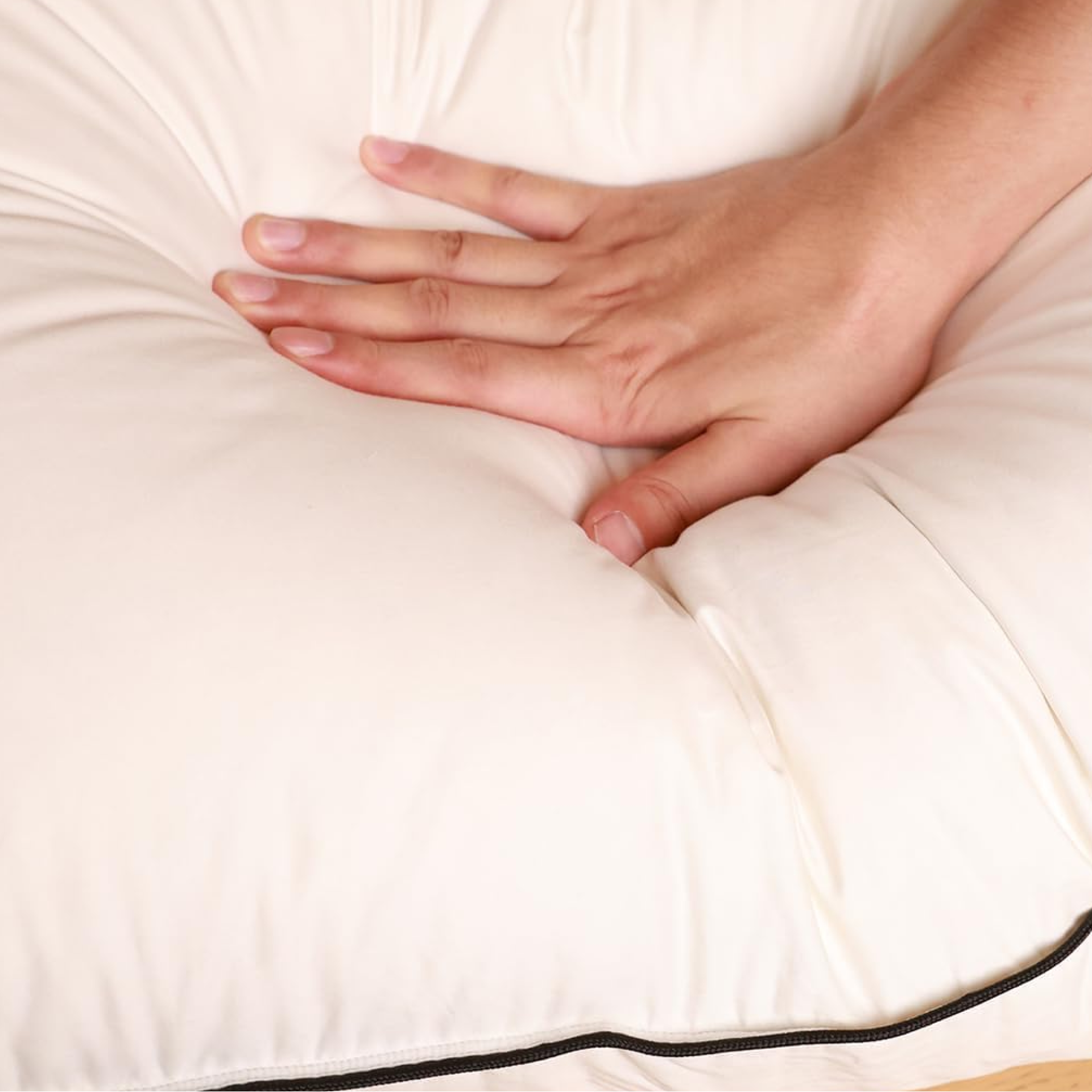 Almohada Fibra Edmon